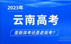 2023年云南高考分文理科吗_是新高考还是老高考？