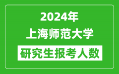 2024年上海师范大学研究生报考人数
