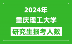 2024年重庆理工大学研究生报考人数