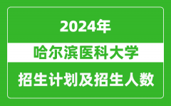 哈尔滨医科大学2024年在江苏的招生计划及招生人数