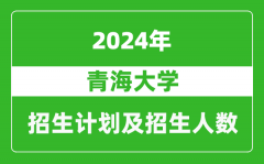 青海大学2024年在江苏的招生计划及招生人数