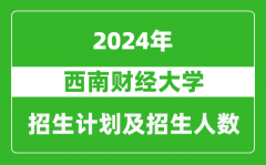 西南财经大学2024年在江苏的招生计划及招生人数