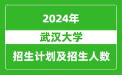 武汉大学2024年在江苏的招生计划及招生人数