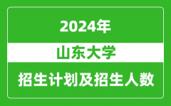 山东大学2024年在江苏的招生计划及招生人数