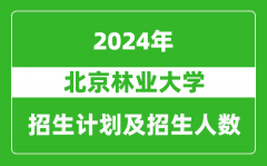 北京林业大学2024年在江苏的招生计划及招生人数