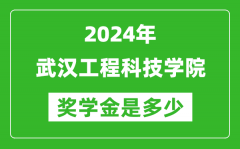 2024年武汉工程科技学院奖学金多少钱_覆盖率是多少？
