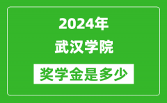 2024年武汉学院奖学金多少钱_覆盖率是多少？