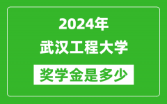 2024年武汉工程大学奖学金多少钱_覆盖率是多少？