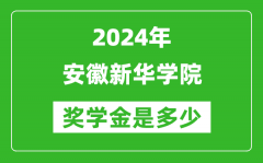 2024年安徽新华学院奖学金多少钱_覆盖率是多少？