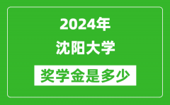 2024年沈阳大学奖学金多少钱_覆盖率是多少？