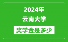2024年云南大学奖学金多少钱_覆盖率是多少？