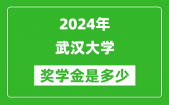 2024年武汉大学奖学金多少钱_覆盖率是多少？