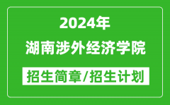 湖南涉外经济学院2024年高考招生简章及各省招生计划人数