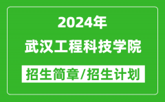 武汉工程科技学院2024年高考招生简章及各省招生计划人数