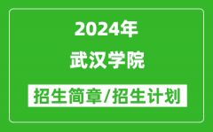 武汉学院2024年高考招生简章及各省招生计划人数
