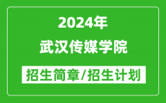 武汉传媒学院2024年高考招生简章及各省招生计划人数
