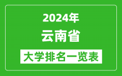 2024年云南省大学排名一览表（82所）