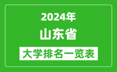 2024年山东省大学排名一览表（153所）